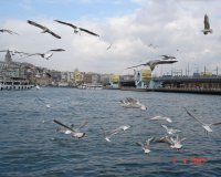 İstanbul Beni Oku