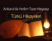 Ankara'da Yedim Taze Meyvayı
